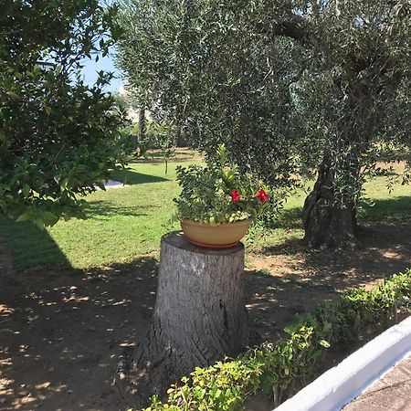 Villa Il Carrubo - Basilicata Pisticci Luaran gambar