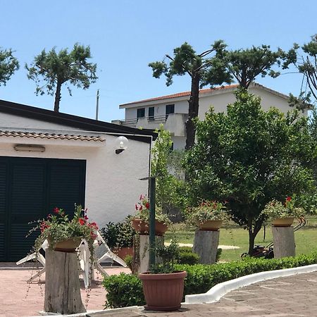 Villa Il Carrubo - Basilicata Pisticci Luaran gambar