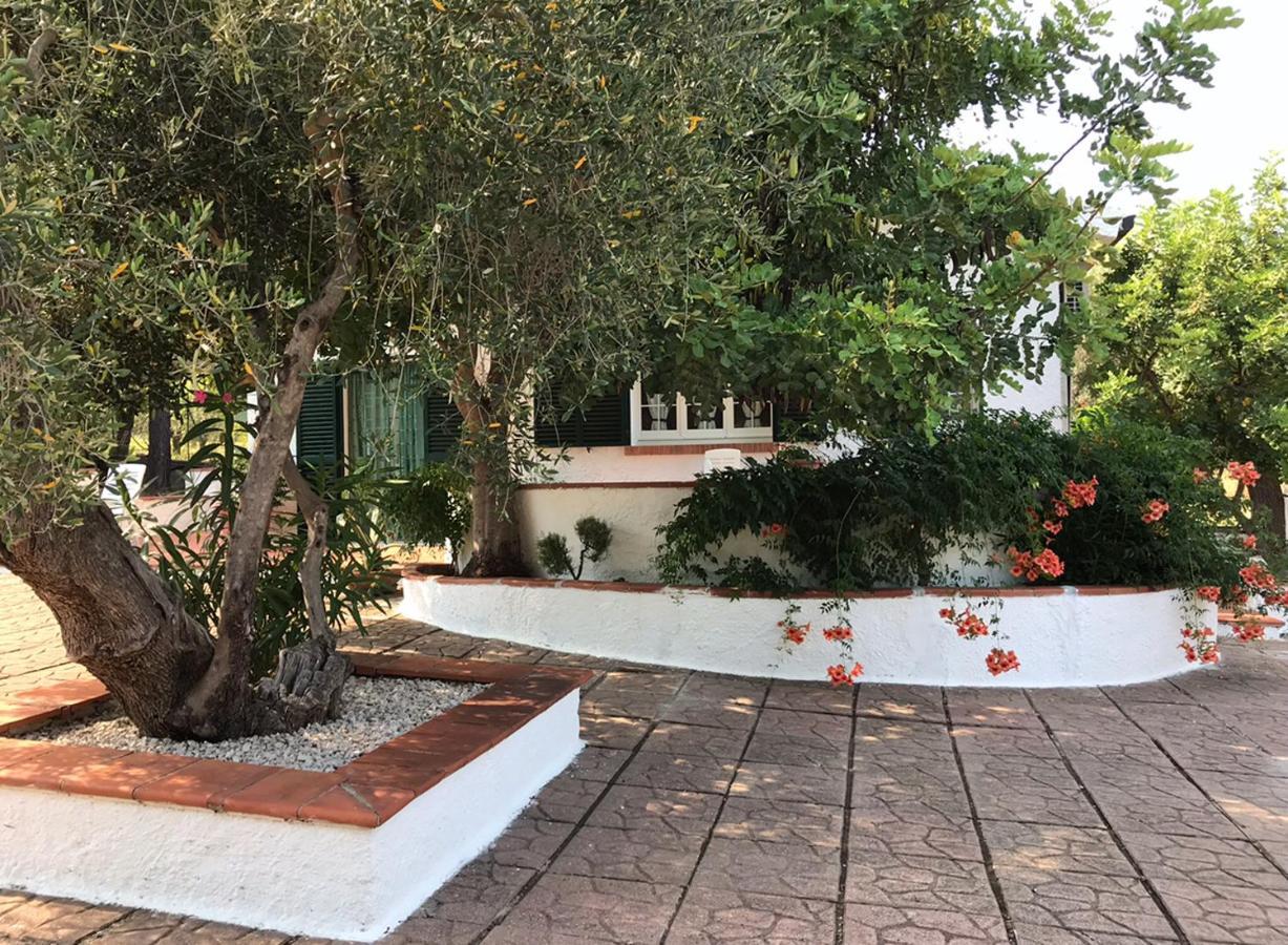 Villa Il Carrubo - Basilicata Pisticci Luaran gambar