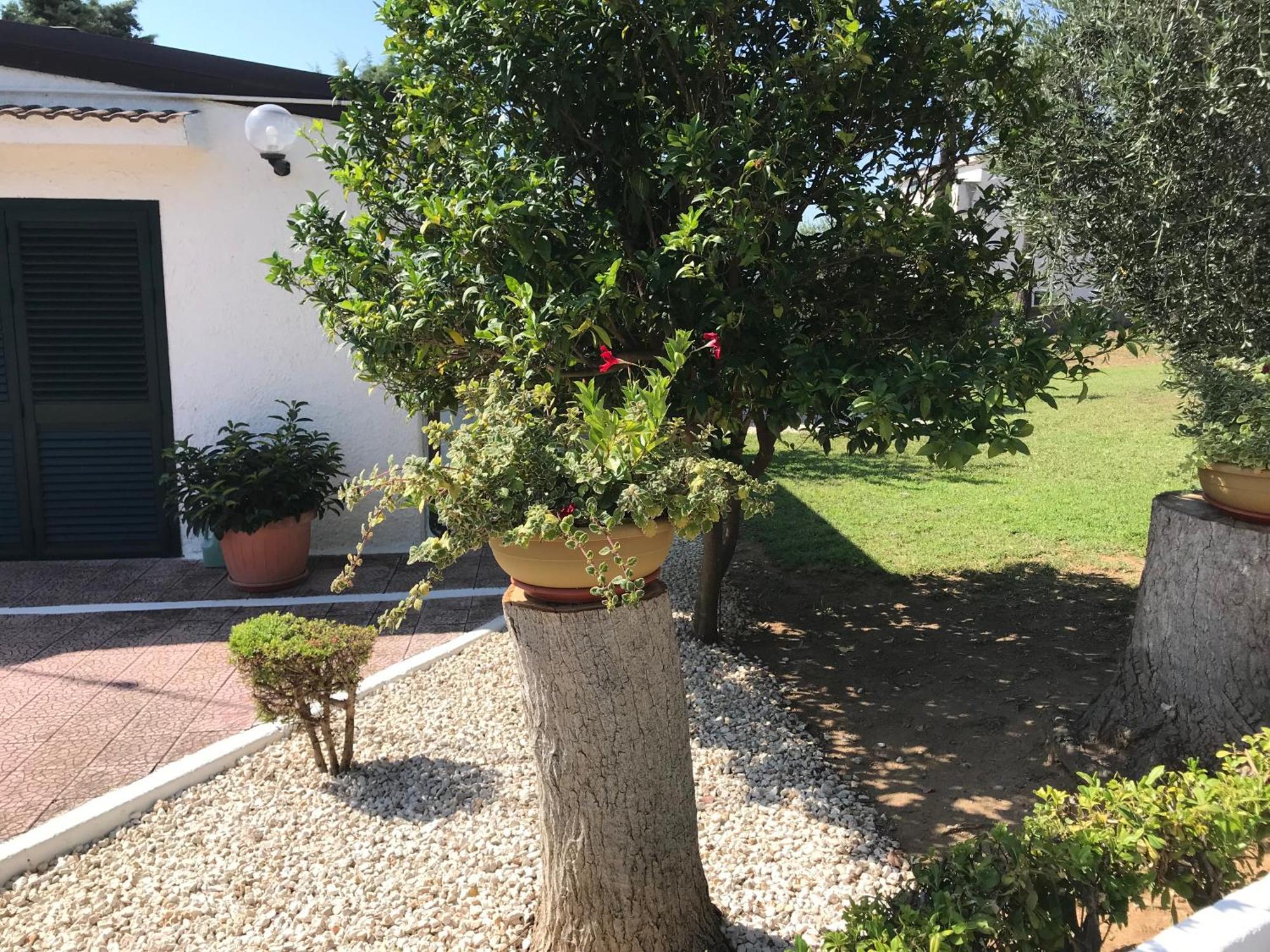 Villa Il Carrubo - Basilicata Pisticci Luaran gambar